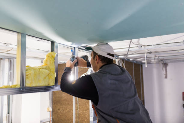 Best Insulation for Specific Applications in Mitchellville, MD