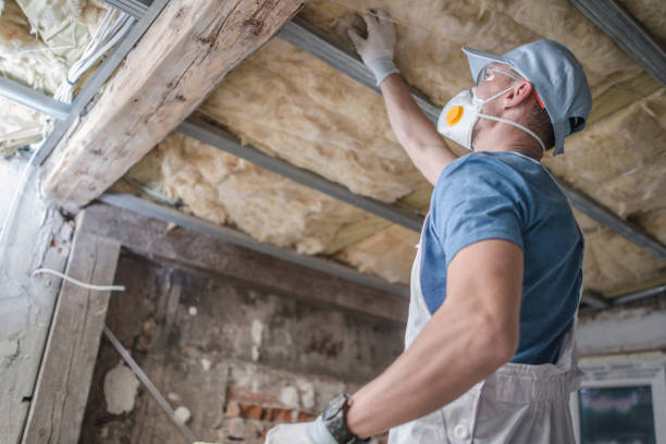 Best Residential Insulation in Mitchellville, MD